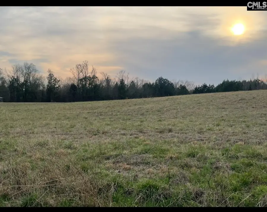 0 Lewie Road, Gilbert, SC 29054 - #2