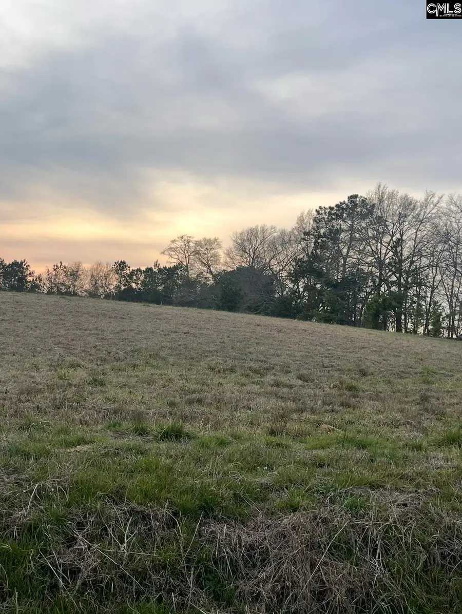 0 Lewie Road, Gilbert, SC 29054 - #3