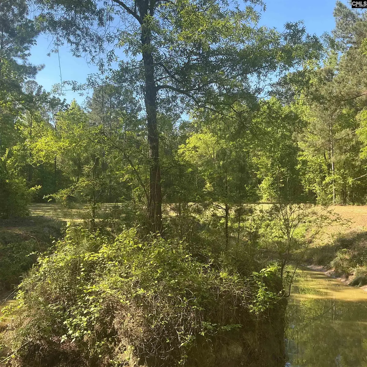 1197 Morello Road, Manning, SC 29102 - #1