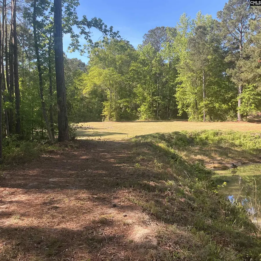 1197 Morello Road, Manning, SC 29102 - #2