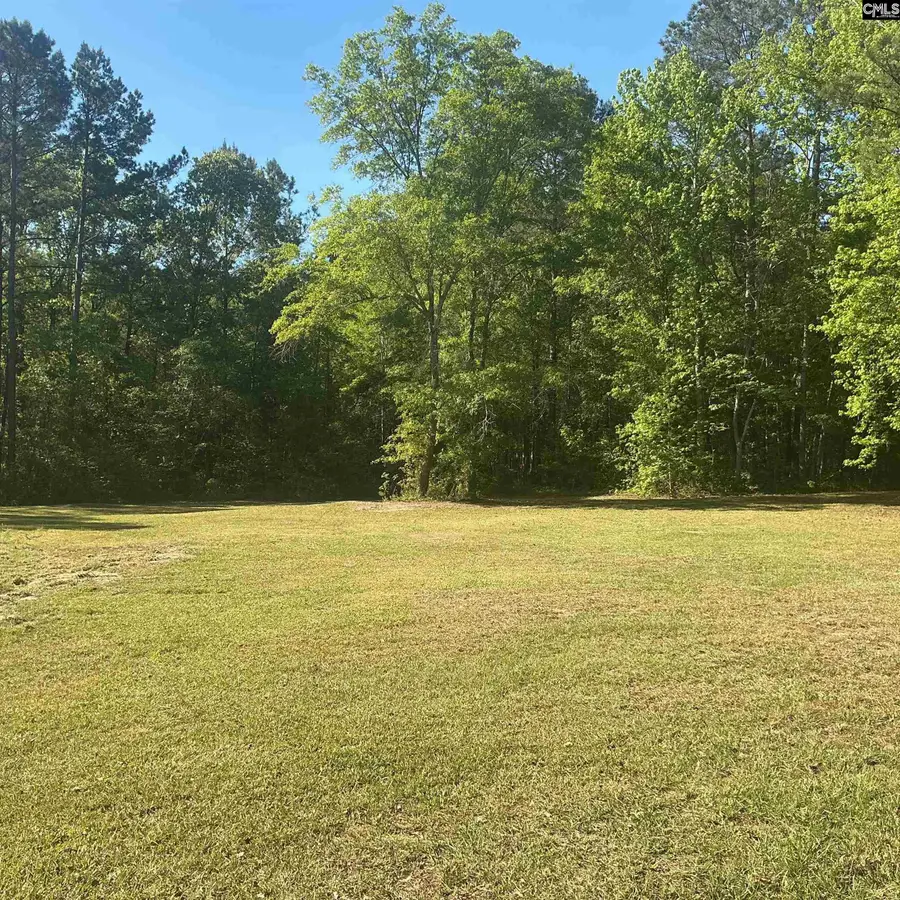 1197 Morello Road, Manning, SC 29102 - #3