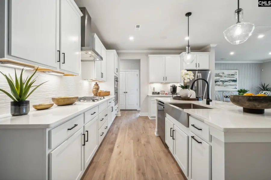 704 Feldspar Court, Chapin, SC 29036 - #3