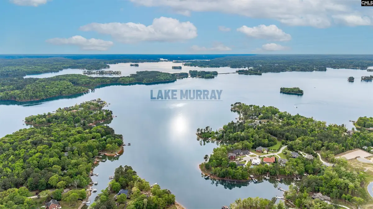 1005 Refuge Place, Chapin, SC 29036 - #1