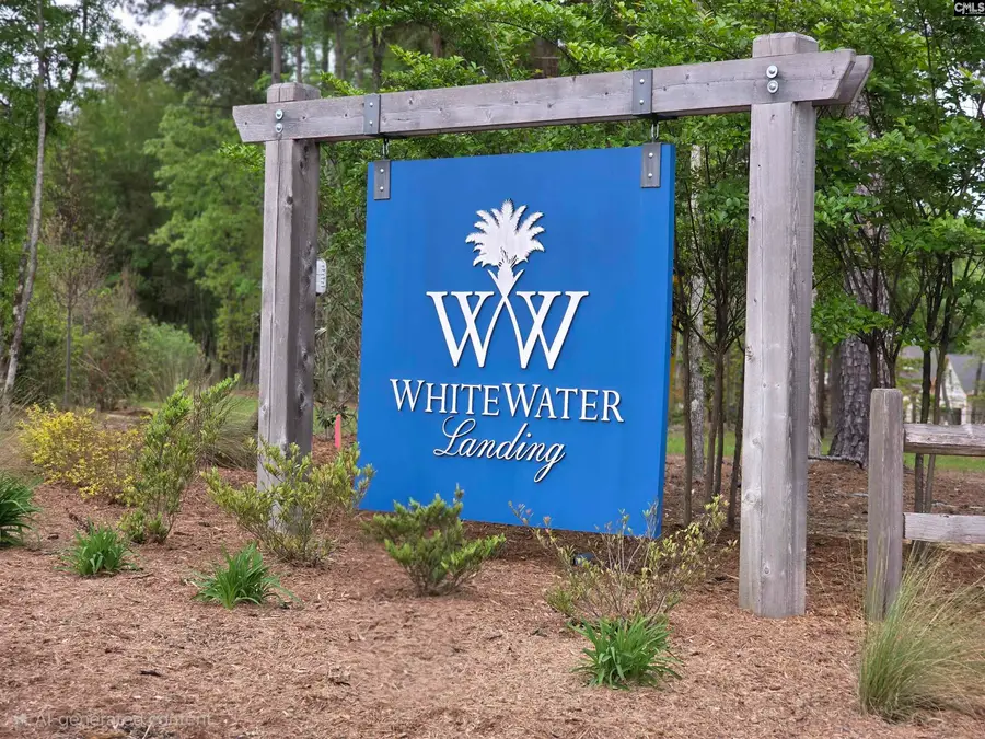 1005 Refuge Place, Chapin, SC 29036 - #3