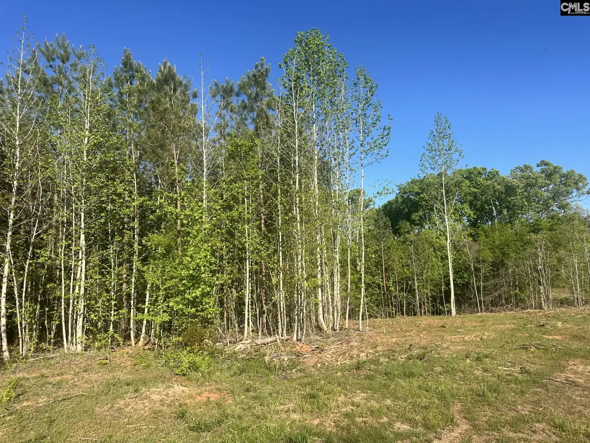 2145 Livingston Road, Pomaria, SC 29126 - #1