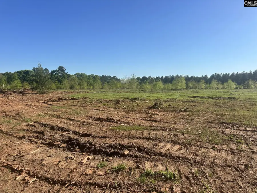 2145 Livingston Road, Pomaria, SC 29126 - #2