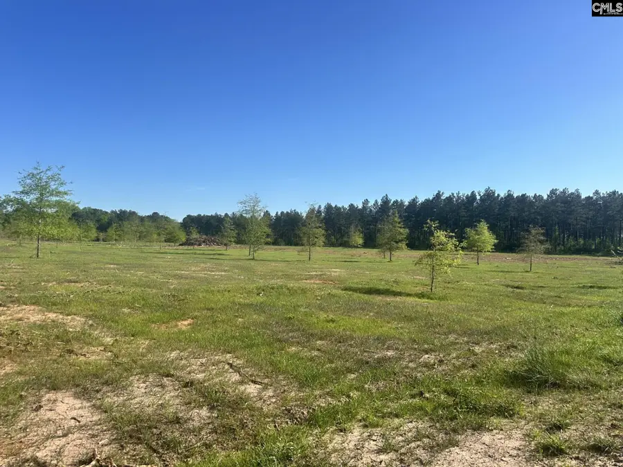 2145 Livingston Road, Pomaria, SC 29126 - #3