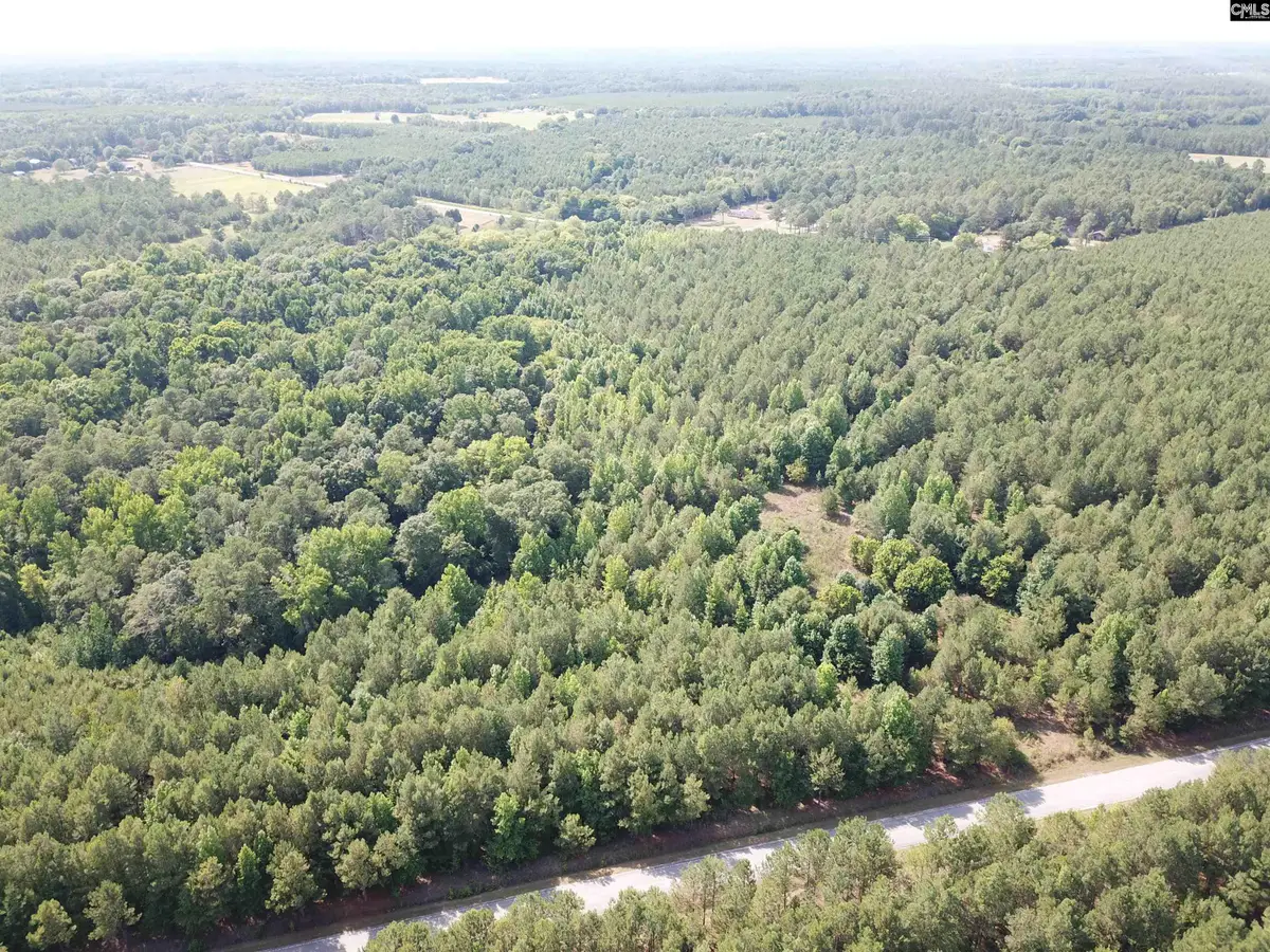 5051 Spring Hill Road, Rembert, SC 29128 - #1