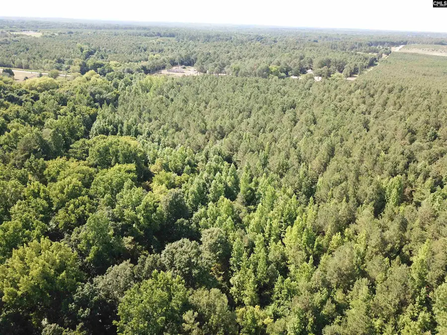 5051 Spring Hill Road, Rembert, SC 29128 - #2