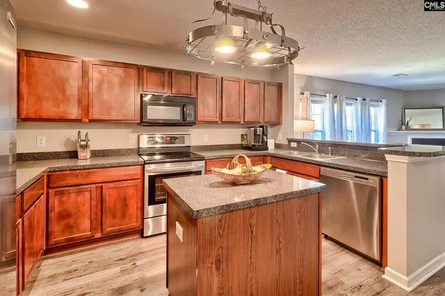 120 Goldenrod Court, Lexington, SC 29073 - #2