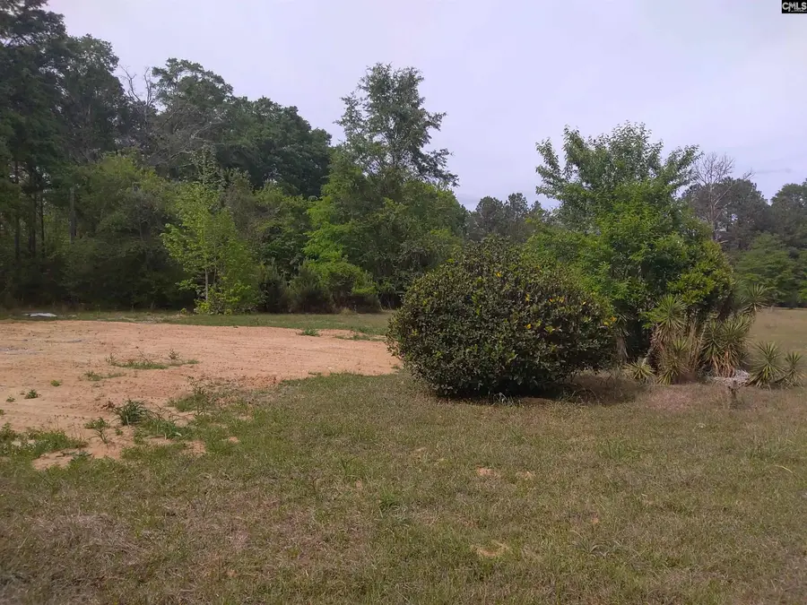 242 Ault Road, Hopkins, SC 29061 - #2