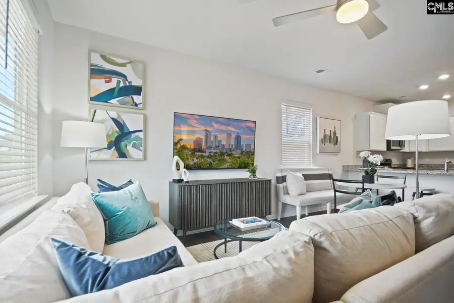 513 Chrome Horse Lane Lane, Lexington, SC 29073 - #3