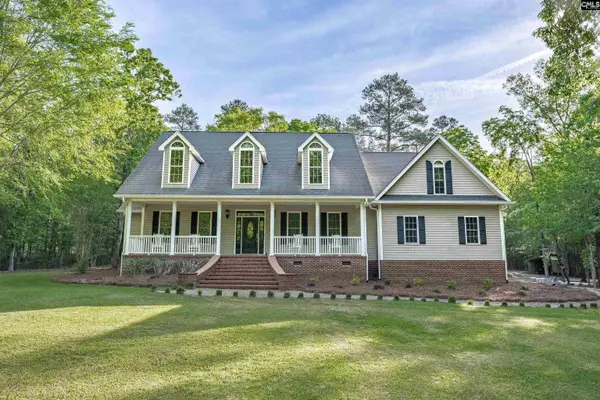 233 Mt Olivet Church Road, Chapin, SC 29036