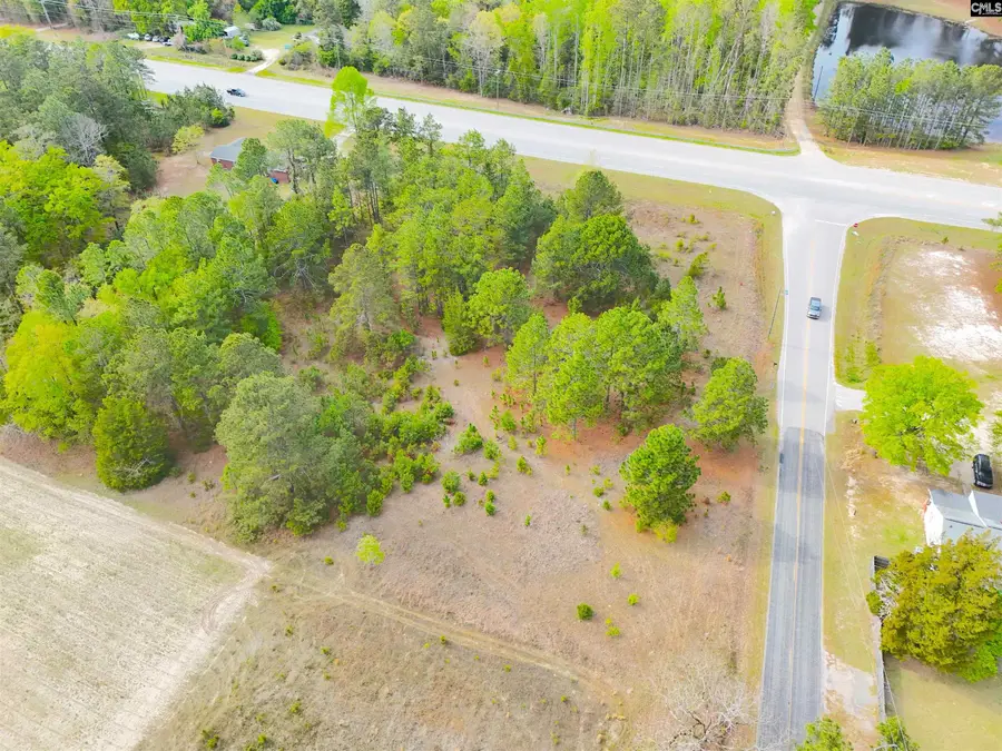 0 Hallman Wagon Road, Leesville, SC 29070 - #2