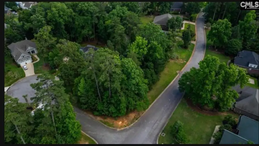 255 Lake Estates Drive, Chapin, SC 29036 - #2