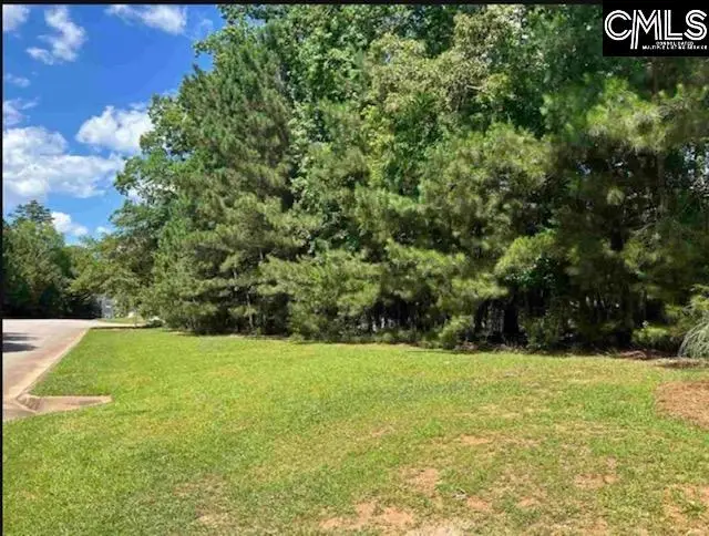 255 Lake Estates Drive, Chapin, SC 29036 - #3