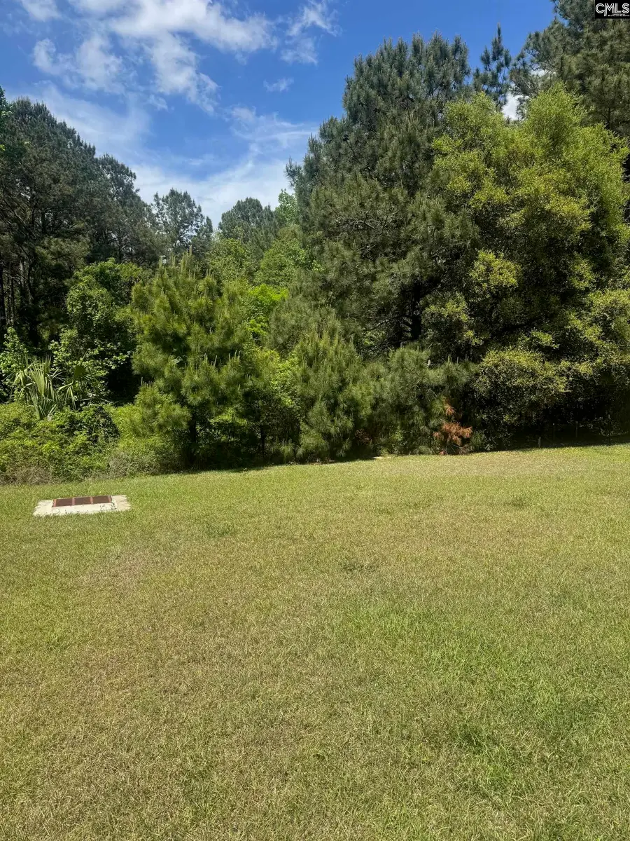 724 Sinker Lane, Santee, SC 29142 - #3