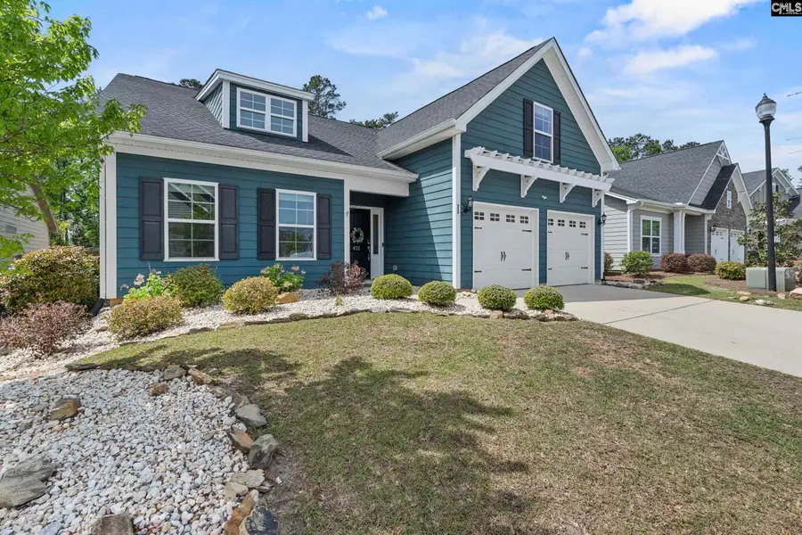 432 Sapphire Lane, Chapin, SC 29036 - #2