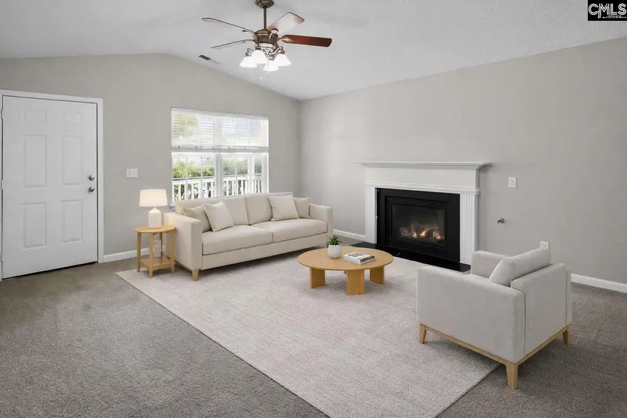 110 Drooping Leaf Drive, Lexington, SC 29072 - #2