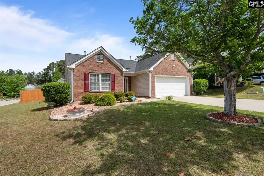 188 Riglaw Circle, Lexington, SC 29073 - #3