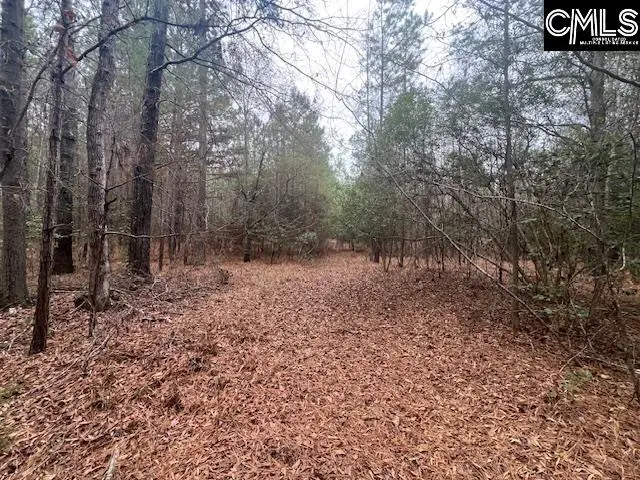 1128 Tookie Doo Avenue, Elgin, SC 29045 - #2