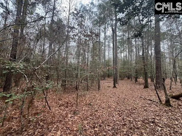 1128 Tookie Doo Avenue, Elgin, SC 29045 - #3