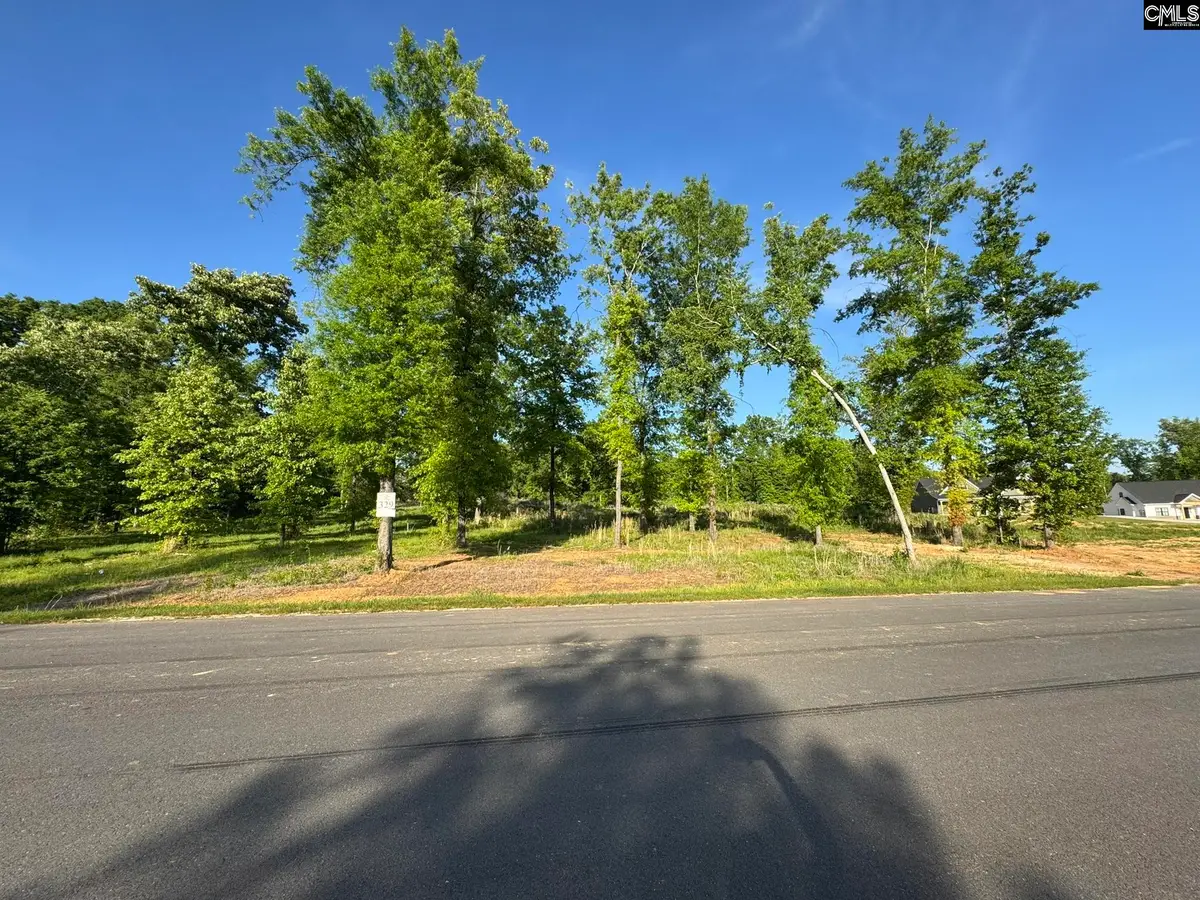 238 Navigator Trail, Prosperity, SC 29127 - #1