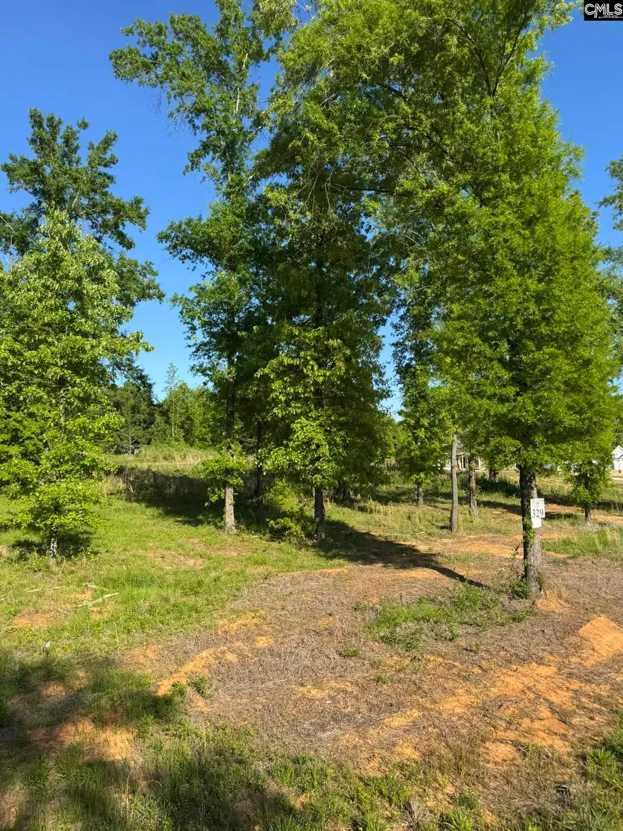 238 Navigator Trail, Prosperity, SC 29127 - #3