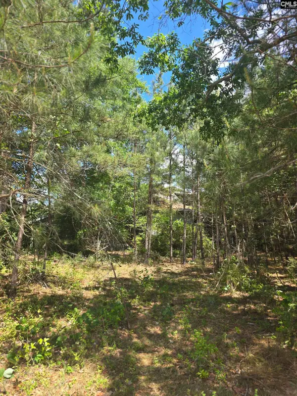 13824 Newberry Road, Blair, SC 29015