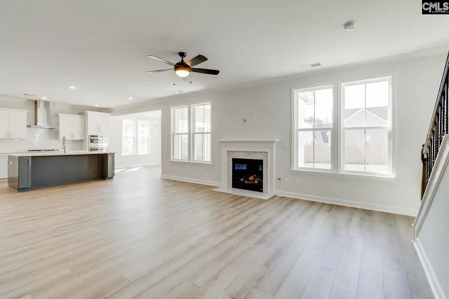 625 Falling Leaf Lane, Chapin, SC 29036 - #3