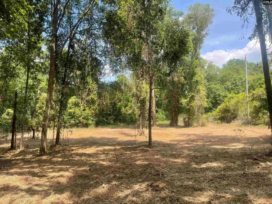 1 Blue Ridge Terrace, West Columbia, SC 29170 - #2