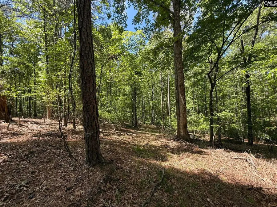 Concord Road, Clover, SC 29745 - #3