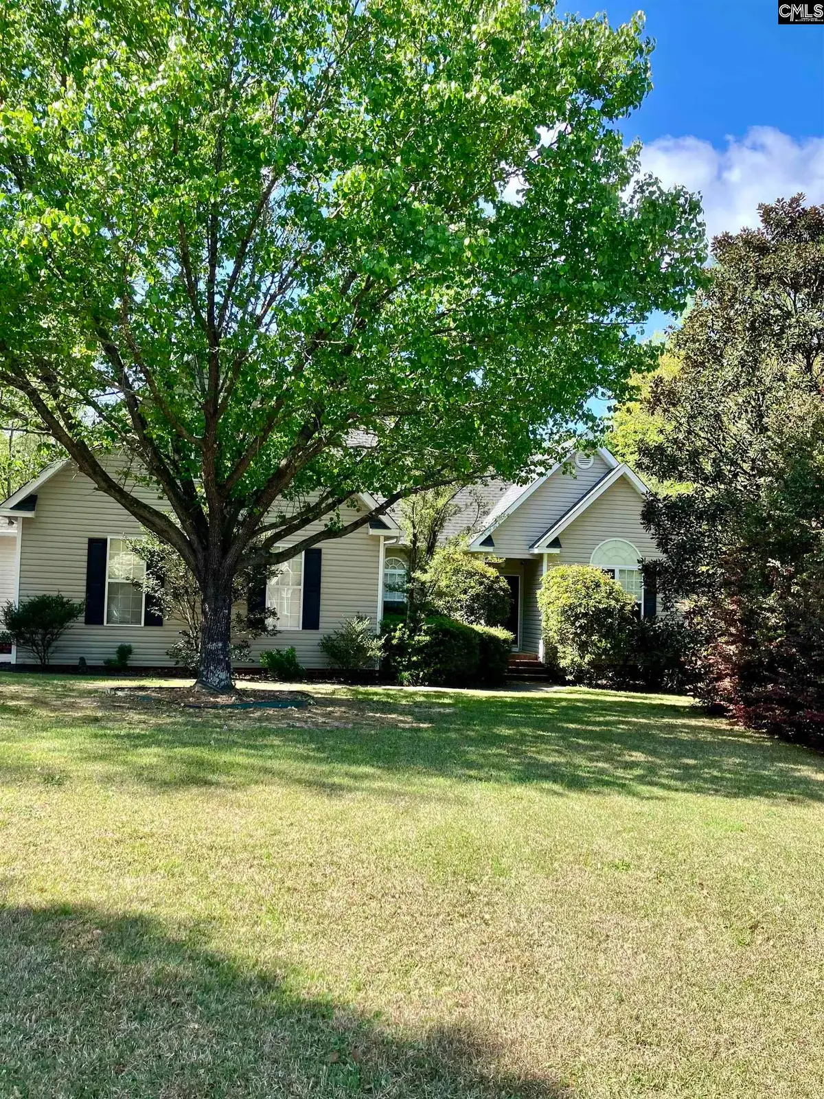 129 Athena Lane, Lexington, SC 29072 - #1