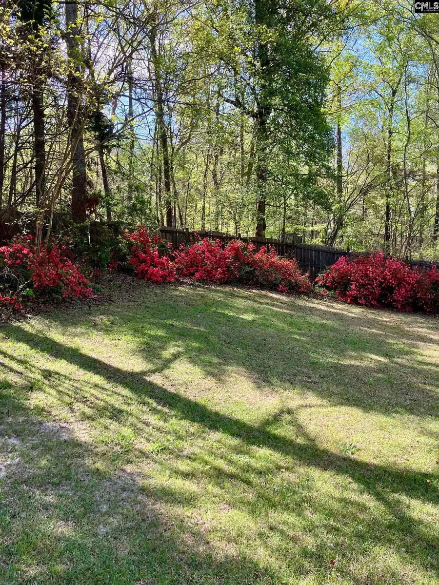 129 Athena Lane, Lexington, SC 29072 - #3