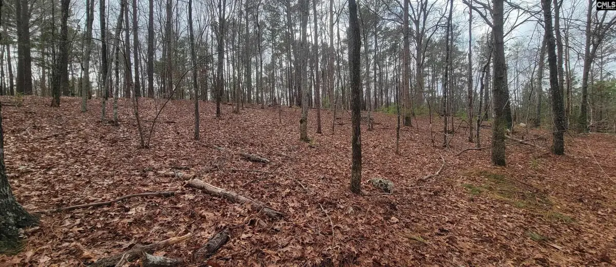 2458 Chapin Road, Chapin, SC 29036 - #1