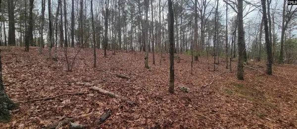 2458 Chapin Road, Chapin, SC 29036