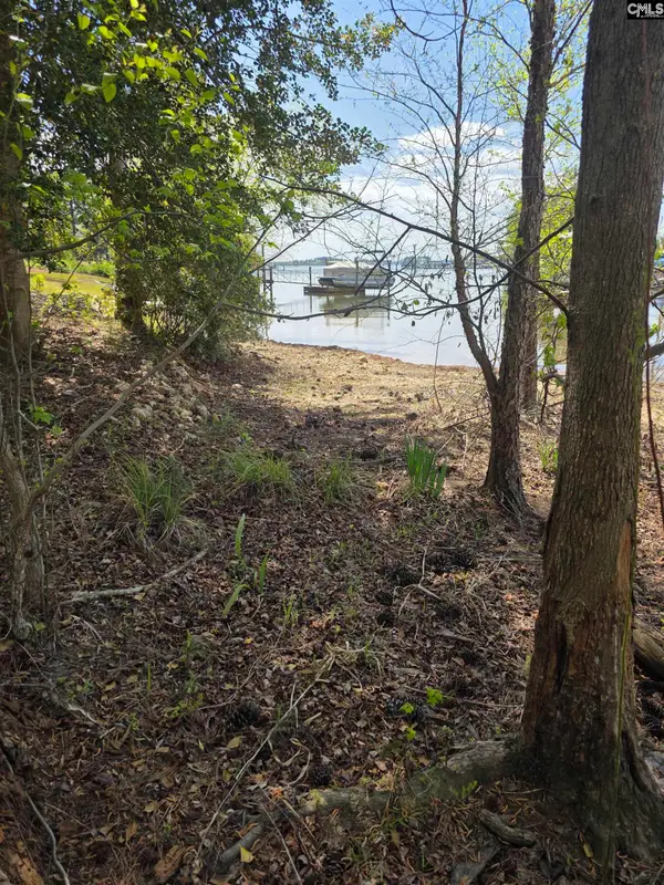 118 Club Court, Chapin, SC 29036