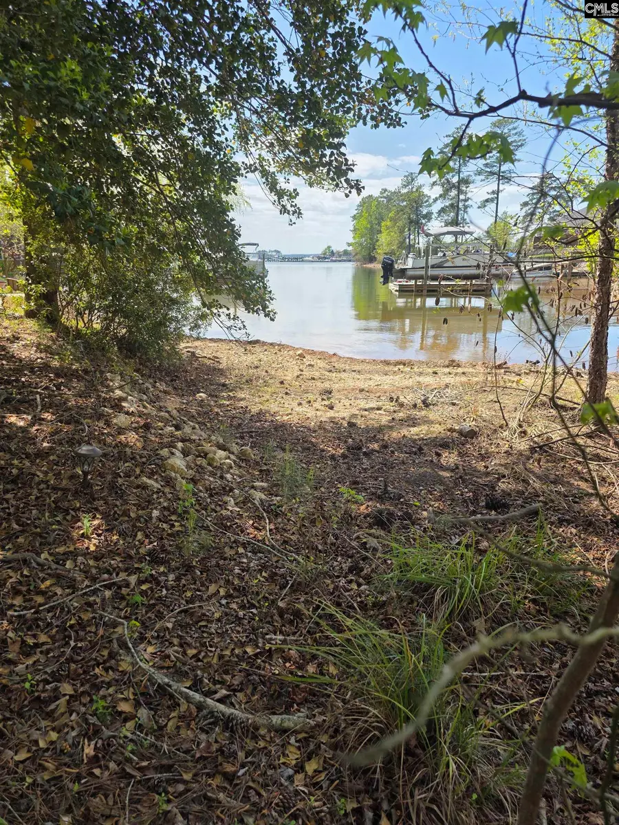 118 Club Court, Chapin, SC 29036 - #2