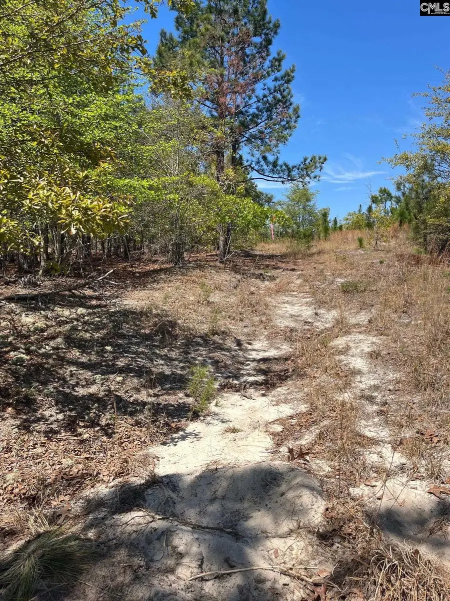 BDF 1 Beaverdam Road, Cassatt, SC 29032 - #2