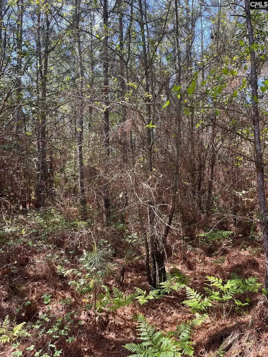 BDF 2 Beaverdam Road, Cassatt, SC 29032 - #2