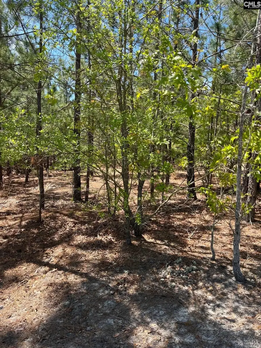 BDF 2 Beaverdam Road, Cassatt, SC 29032 - #3