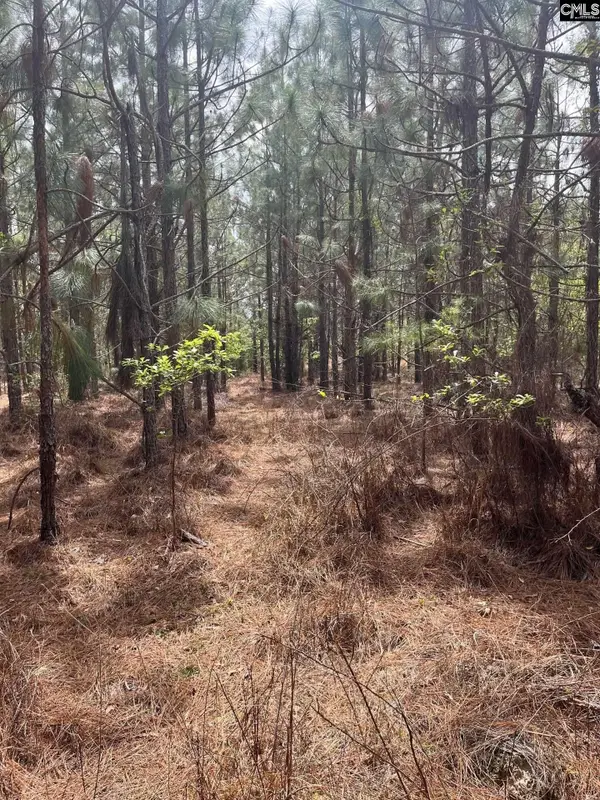 BDF 3 Beaverdam Road, Cassatt, SC 29032