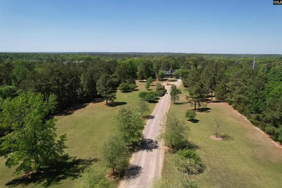 1121 Canterfield Road, Chapin, SC 29036 - #2