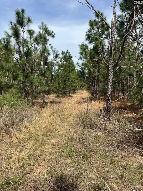 BDF 6 Beaverdam Road, Cassatt, SC 29032