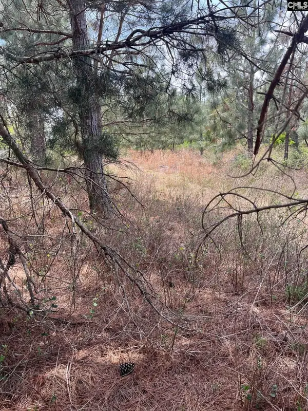 BDF 7 Beaverdam Road, Cassatt, SC 29032