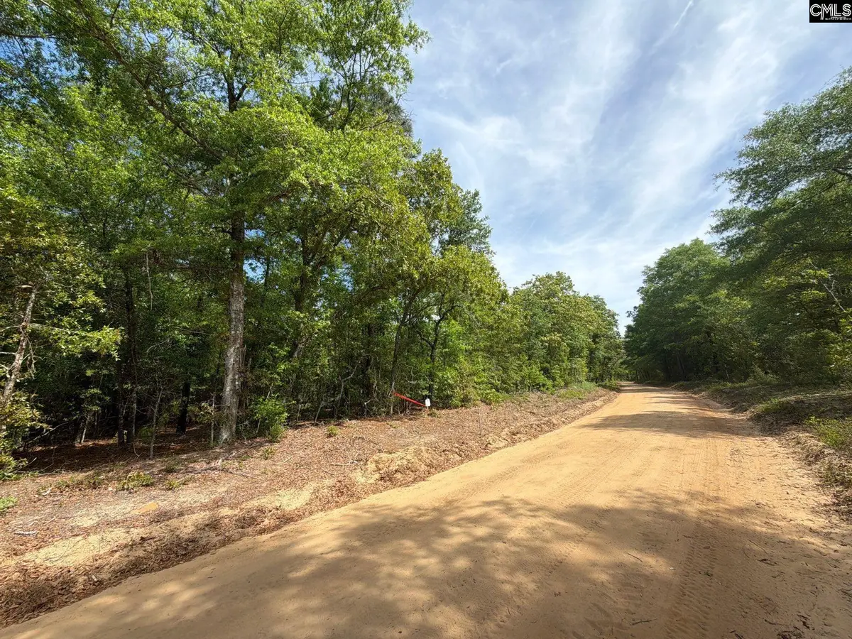 RRF 1 Rogers Cemetery Road, Salley, SC 29137 - #1