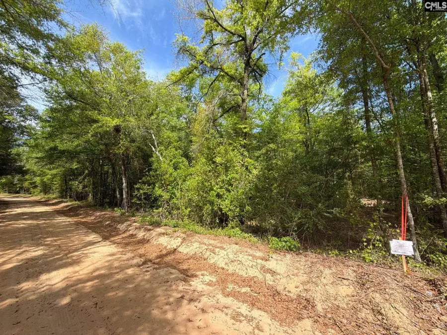 RRF 1 Rogers Cemetery Road, Salley, SC 29137 - #3