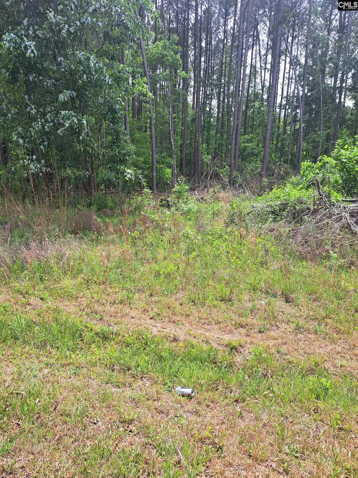 Grover Wilson Rd/dinkins Place Rd, Ridgeway, SC 29130 - #1