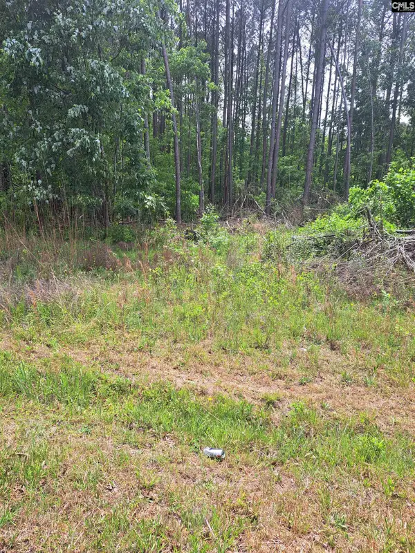 Grover Wilson Rd/dinkins Place Rd, Ridgeway, SC 29130