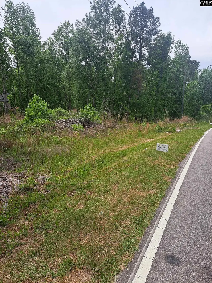 Grover Wilson Rd/dinkins Place Rd, Ridgeway, SC 29130 - #2